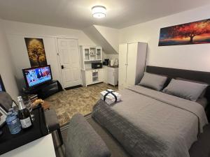 TV a/nebo společenská místnost v ubytování Kenneths Cozy Retreat - Saint John NB - 1BR - Wi-Fi - 4mins to Regional Hospital