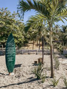 a surfboard in the sand next to a palm tree at Nimbu Beachhouse in Transito
