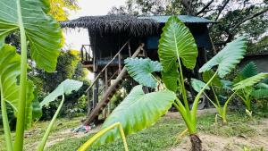 Zahrada ubytování Sigiri Veenus Paradise