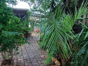 un sentiero attraverso un giardino con alcune piante di Wooden Creek Estate a Kempton Park