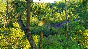 Paesaggio naturale nelle vicinanze del bed & breakfast