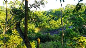 Paesaggio naturale nelle vicinanze del bed & breakfast