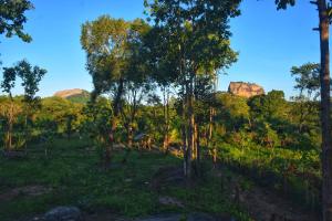 Paesaggio naturale nelle vicinanze del bed & breakfast