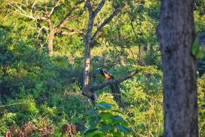 Paesaggio naturale nelle vicinanze del bed & breakfast