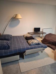 Χώρος καθιστικού στο Chez Romain- Logis cosy proche Annecy