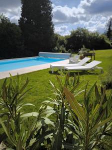 a swimming pool in a yard with two loungers at Le Castel Mosan in Namur