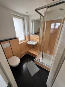 a bathroom with a shower and a toilet and a sink at AlWi Apartment Braunschweig in Braunschweig +50 photos