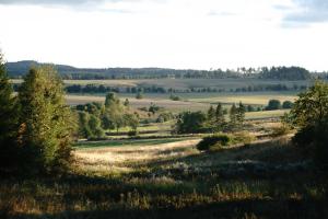 une vue sur un champ planté d'arbres au loin dans l'établissement Auerhahn Ferienhäuser Auerhahn 403, à Hahnenkopf