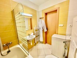a bathroom with a sink and a toilet and a shower at Mezonet Tatry in Vyšné Hágy +13 photos