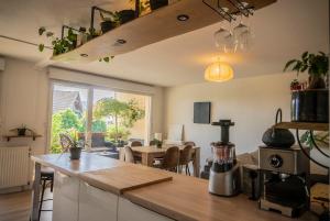 Kuchyň nebo kuchyňský kout v ubytování Magnifique appartement entre lac et montagne