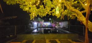 a view of a pool at night with lights at Bell Farms and Resorts in Munroe Island