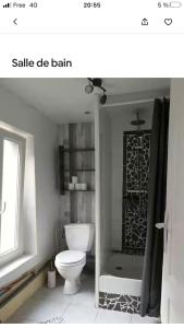 a white bathroom with a toilet and a shower at Studio Indépendant 5 min gare in Nogent-lʼArtaud