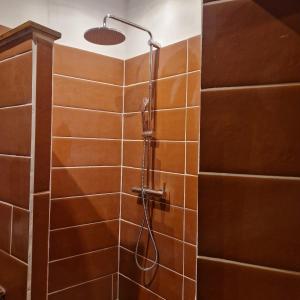 a shower with a shower head in a bathroom at Appartement centre ville de malaucene in Malaucène +5 photos