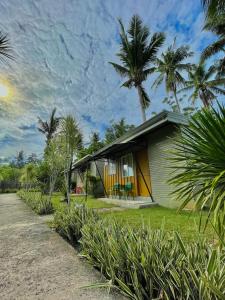 una piccola casa con una palma accanto a una strada di 13 ways Room Rentals a Panglao