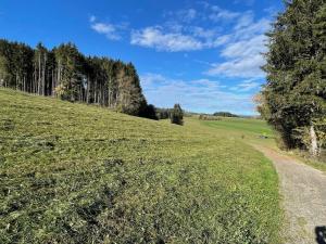 una colina de hierba con un camino de tierra en un campo en GreenHolidays, en Wellendingen 40 fotos más