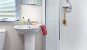 a bathroom with a white sink and a shower at WH - Smugglers Cove 02 in Aberaeron