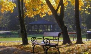 a park bench in a park with a gazebo at Apartament Wałowa 2 in Wejherowo +3 photos