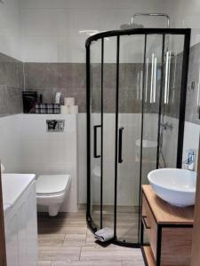 a bathroom with a shower and a toilet and a sink at Apartament Wałowa 2 in Wejherowo