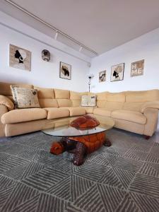 Posezení v ubytování Apartament TORTUGA