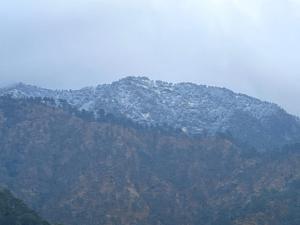 Galeriebild der Unterkunft Ekaant Home stay Dunagiri Binta in Dwārāhāt