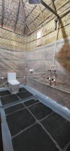 a bathroom with a toilet in a building at Tranquil Hampi in Hampi
