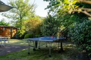 Stolní tenis v ubytování Toekomst 59 - Ouddorp NOT INTENDED FOR COMPANY OR WORK-RELATED STAYS nebo okolí