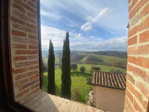 a view from a window of trees and a field at Podere Cedrola in Asciano +54 photos