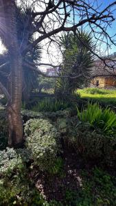 Billede fra billedgalleriet på Villa in Portugal i Fornos de Algodres + 67 billeder