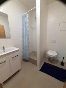 a bathroom with a toilet and a sink and a shower at Monteurwohnungen in Gera in Gera