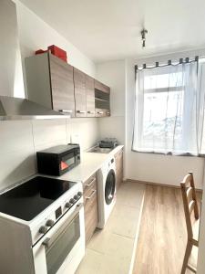 a small kitchen with a stove and a dishwasher at Monteurwohnungen in Gera in Gera
