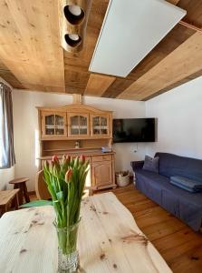 A television and/or entertainment centre at Ferienhaus Marie