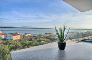 a potted plant sitting on top of a table at Imola's Place - Sea-View & Pool in Slatine