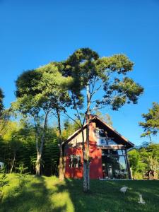 a tree in front of a red house at Chalé manacá da Serra in São Bento do Sul +8 photos