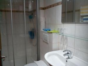 a bathroom with a shower and a sink and a toilet at Alte Schule in Sankt Oswald +12 photos