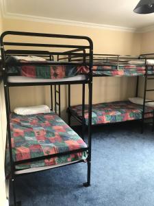 Soli Hostel客房内的一张或多张床位