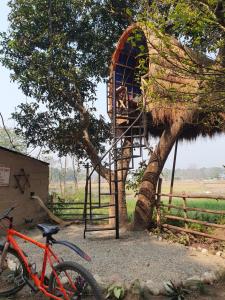 在Pemsee's Tree Town - Eco-friendly,Tree house hostel内部或周边骑自行车