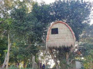 Pemsee's Tree Town - Eco-friendly,Tree house hostel外面的花园