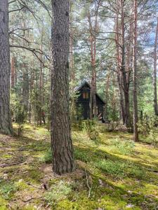 Gallery image of Wdech Wydech in Chełsty