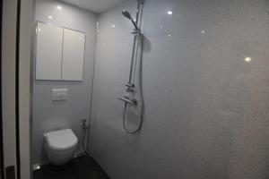 Un baño con ducha y WC. en Lake District, Mountain Views, Accessible Studio Bothy, en Valle de Borrowdale