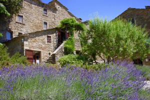una vecchia casa in pietra con un campo di fiori viola di Cortona Village Heights a Cortona