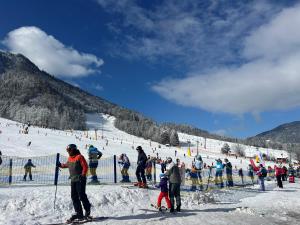 Hosté ubytování Steblaj apartments Park
