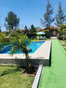 Bazén v ubytování uPhondo Lodge nebo v jeho okolí