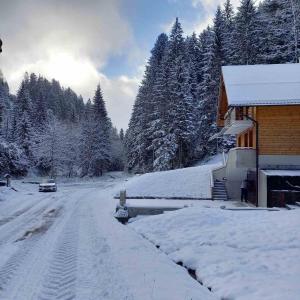a house is covered in snow next to a road at Hiša Lunna - Apartments in a Forest Paradise in Vitanje +12 photos