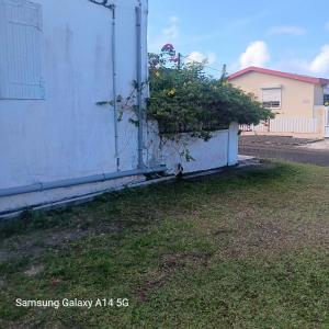 Gambar di galeri bagi Villa fleurie di Anse-Bertrand