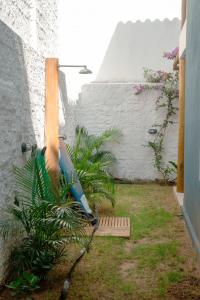 Chalé de Chica - Vila das Andorinhas外面的花园