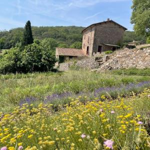 Galeriebild der Unterkunft Ferme d'hôtes de Pouzes in Pézenes-les-Mines
