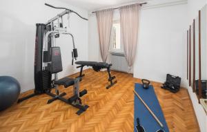 a room with a gym with two tread machines at Holiday Home Kranjci Kranjci in Raša