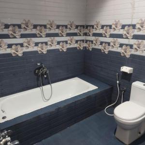 a bathroom with a bath tub and a toilet at Dolphin Resort in Yelagiri