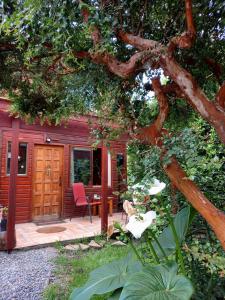 a red cabin with a table and chairs in the yard at Cabaña con muro de escalada in Pucón