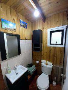 a bathroom with a white toilet and a sink at Cabaña con muro de escalada in Pucón